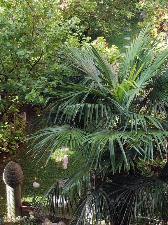 Appartamento Garden Ca' Rezzonico Veneţia Exterior foto