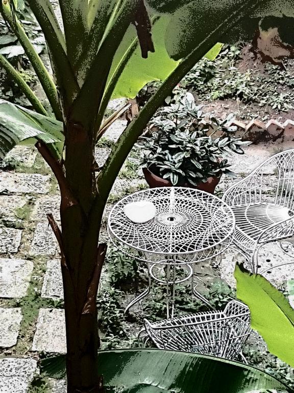 Appartamento Garden Ca' Rezzonico Veneţia Exterior foto