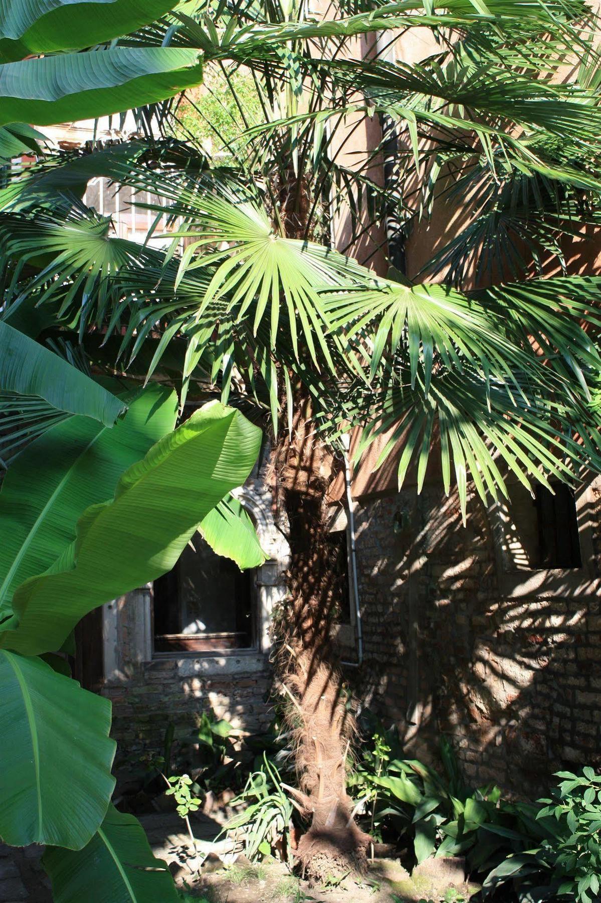 Appartamento Garden Ca' Rezzonico Veneţia Exterior foto